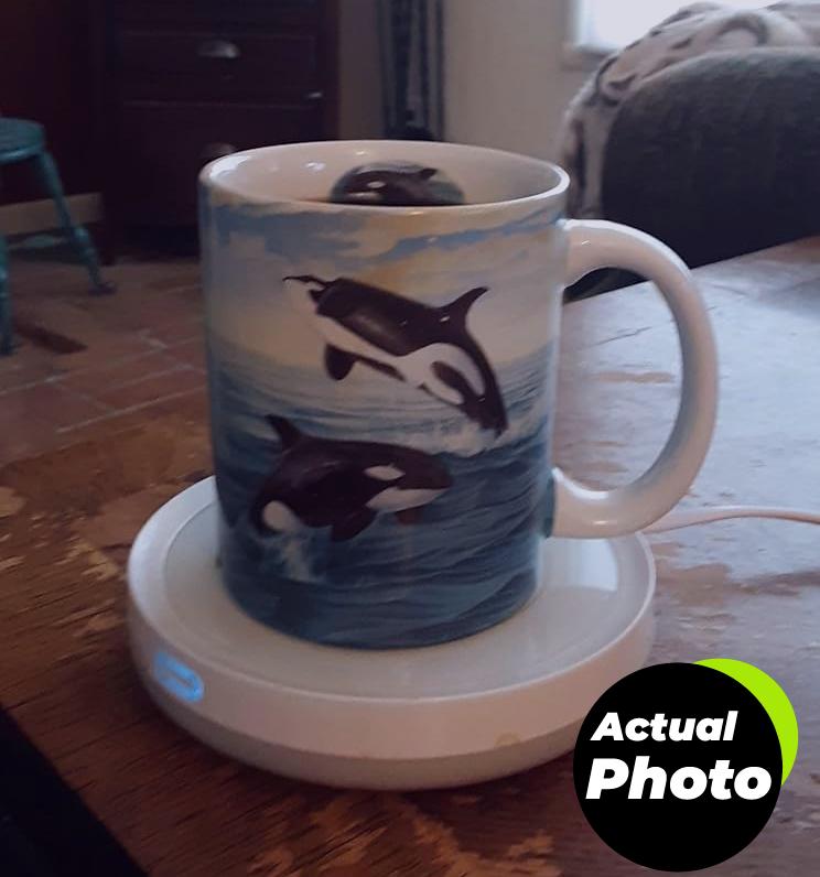 bestinnkits-coffee-cup-warmer-set-pic-1