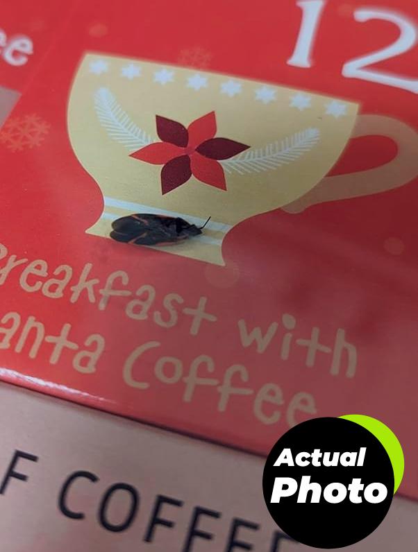 christmas-sampler-12-days-coffee-tea-pic-1