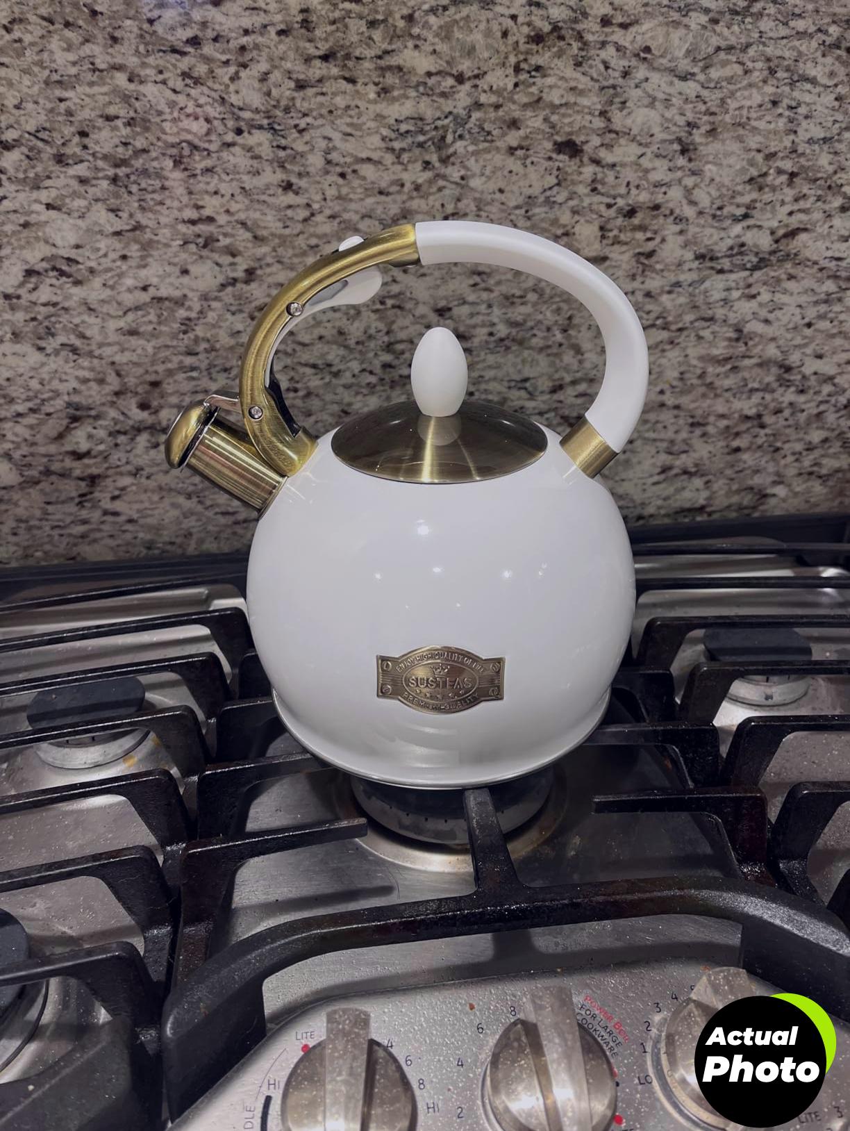 sustea-kettle-black-2-64qt-foto-1