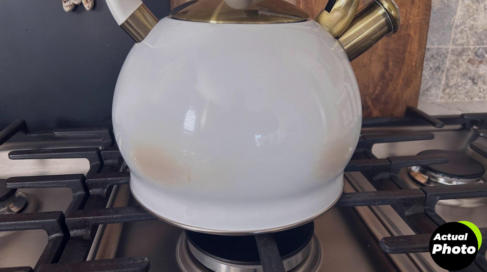 sustea-kettle-black-2-64qt-foto-2